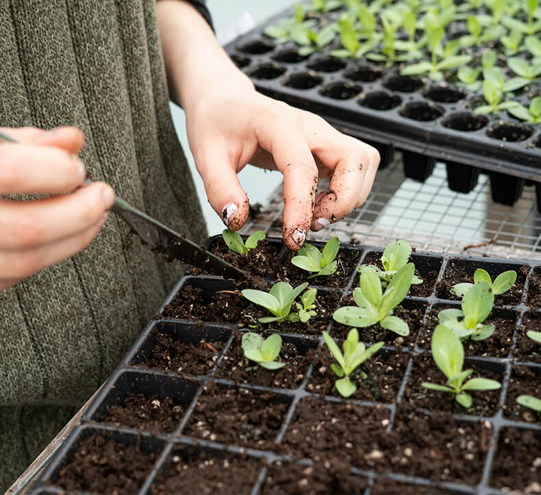 WHY CHOOSE RUTOM BIOTECHNOLOGY ORGANIC FERTILIZERS