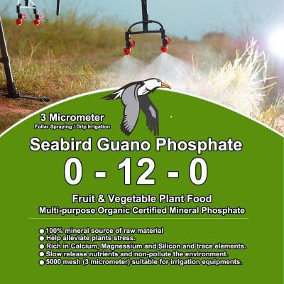Seabird Guano Phosphate 0 12...