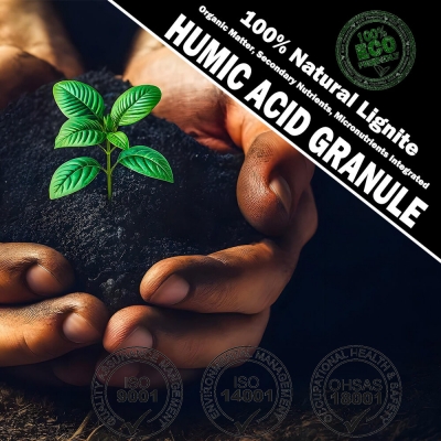 Humic Acid Granule, Soil Amendment Agent | Natural Earth Mineral Source