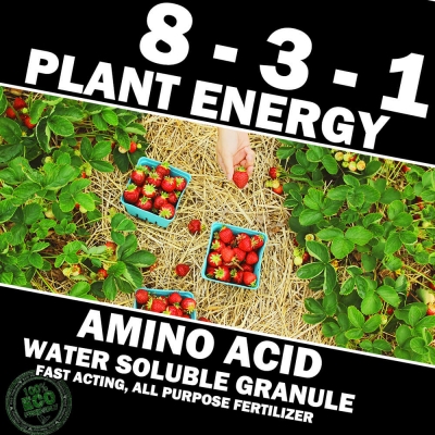 Plant Energy 8 - 3 - 1 Amino Acid Granule, Fast Acting  All Purpose Water Soluble Fertilizer