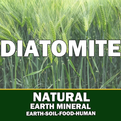 Diatomite Powder-Diatomaceou...