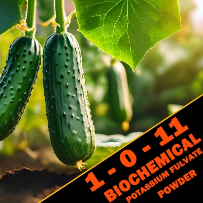 Potassium Fulvate 1 - 0 - 11, Potash Fulvic Acid Water Soluble Plant Food