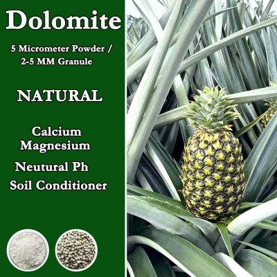 Dolomite Granule / Powder, C...