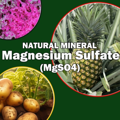 Natural Magnesium Sulfate Mi...
