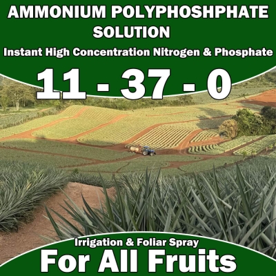 Ammonia Polyphosphate Liquid Solution 11-37-0, APS High Nitrogen and Phosphate Liquid
