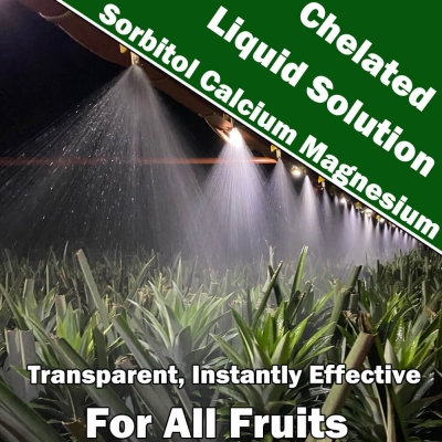 Chelated Sorbitol Calcium And Magnesium Liquid Solution For All Fruits