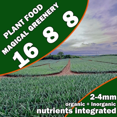 MAGICAL GREENERY 16-8-8, All Purpose Organic and Inorganic Nutrient Integrated Plant Food