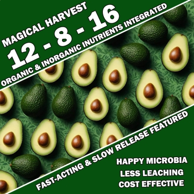 MAGICAL HARVEST 12 - 8 - 16 ...