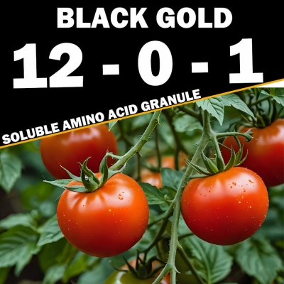 Black Gold Amino Acid 12-0-1...