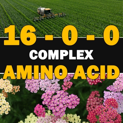 Amino Acid 16-0-0 | 17 Types...
