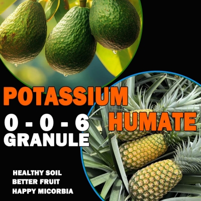 Potash Humate Granule 0-0-6, Potassium Humic Acid Soil Amendment and Plant Food