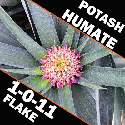 Potash Humate 1-0-11 Flake |...