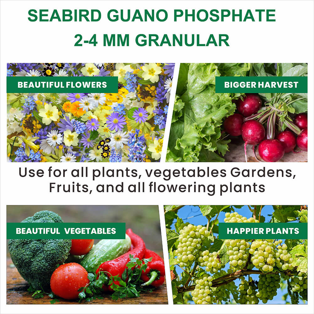 Seabird Guano Granular 2-4mm for plants.jpg