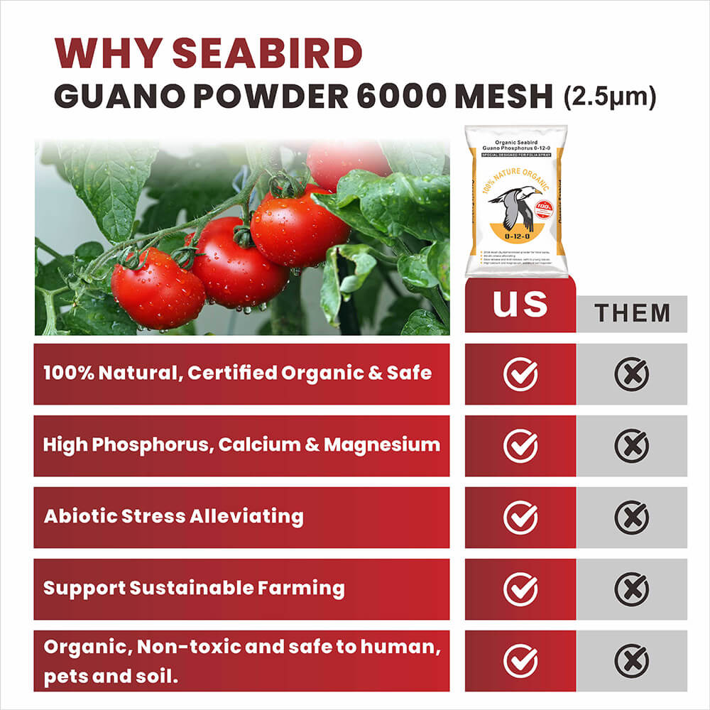 Seabird Guano Micronized Powder -6000mesh-2.5 micrometer-Benefits.jpg