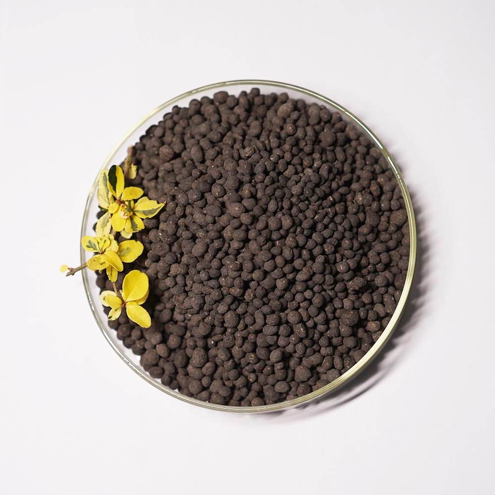 Rutombio-Organic Fertilizer 5-3-4 Granular-0.jpg
